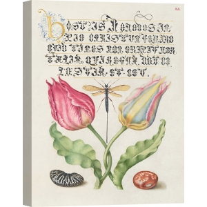 Tableau, affiche botanique. From the Model Book of Calligraphy, I