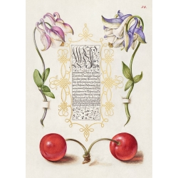 Botanische Poster und Leinwandbilder. Book of Calligraphy, III