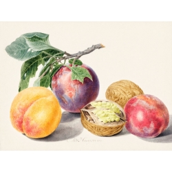 Quadro frutta, stampa su tela. Van Huysum, Frutta
