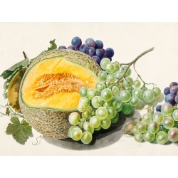 Quadro frutta, stampa su tela. Van Huysum, Frutta, uva e melone