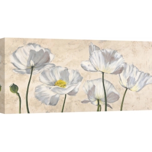 Wall art print and canvas. Luca Villa, Poppies in White