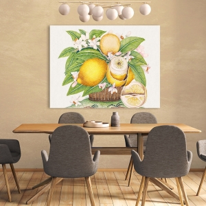 Wall art print, canvas, poster. Basket of lemons
