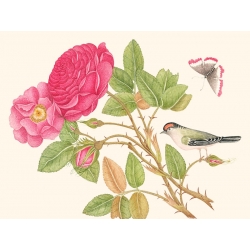 Cuadros en lienzo y poster. Un pájaro en una rama de rosa