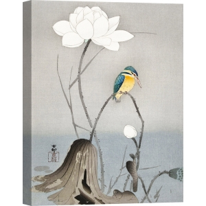 Japanische Kunst Bilder. Ohara Koson, Eisvogel mit Lotusblume
