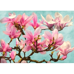 Tableau fleurs sur toile. Luca Villa, Branche de Magnolia, turquoise