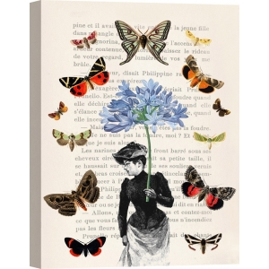 Tableau femme avec papillons. Stef Lamanche, Lady of Butterflies