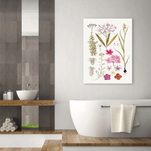 Botanical art print, canvas, poster. Hand drawn pink flowers