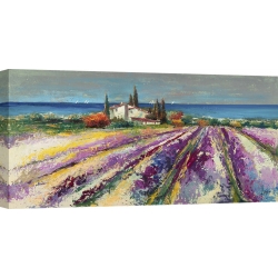 Wall art print and canvas. Luigi Florio, Dreaming of Provence