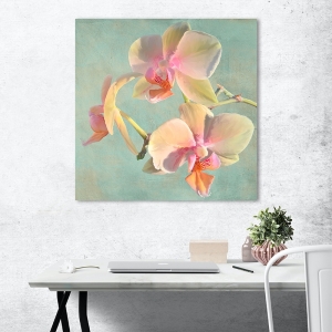 Cuadro flores modernos, orquídeas. Luca Villa, Jewel Orchids I