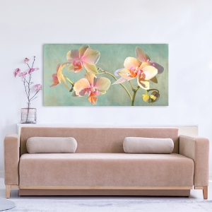 Cuadro flores modernos, orquídeas. Luca Villa, Jewel Orchids