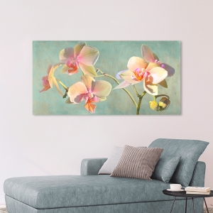 Wall art print and canvas. Luca Villa, Jewel Orchids