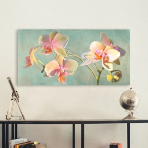 Quadro, stampa su tela con fiori. Luca Villa, Orchidee Preziose