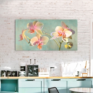 Cuadro flores modernos, orquídeas. Luca Villa, Jewel Orchids
