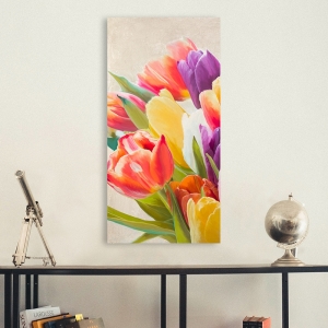 Tableau fleur moderne sur toile. Luca Villa, Tulipes d'été I