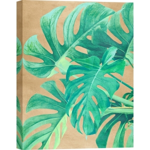 Quadro, stampa su tela. Eve C. Grant, Foglie tropicali moderne II