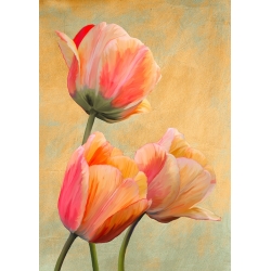 Tableau fleur moderne sur toile. Luca Villa, Tulipes d'or I
