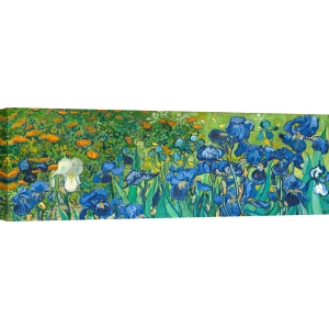 Wall art print and canvas. Vincent Van Gogh, Irises (detail)