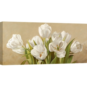 Wall art print and canvas. Serena Biffi, White Tulips