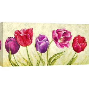 Cuadros tulipanes en canvas. Silvia Mei, Ramo de tulipanes blancos