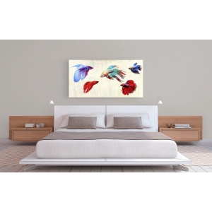 Wall art print and canvas. Teo Rizzardi, Tropical Parade
