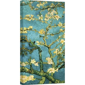 Leinwandbilder. Vincent van Gogh, Blühende Mandelbaumzweige II