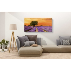 Wall art print and canvas. Valerio Sella, Field in the sunset