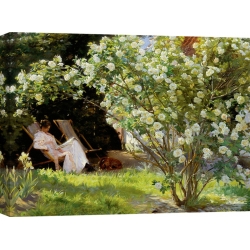 Wall art print and canvas. Peder Severin Krøyer, Seated in the garden of roses