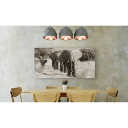 Cuadro animales, fotografía en canvas. Manada de elefantes africanos
