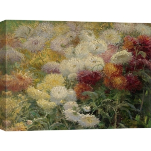 Tableau sur toile. Gustave Caillebotte, Chrysanthème dans le jardin 