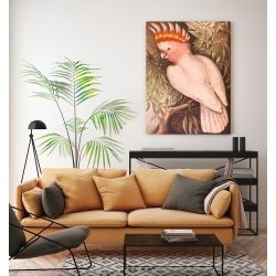 Wall art print and canvas. James Whitley Sayer, Leadbeaters Cockatoo