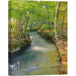 Wall art print and canvas. Adriano Galasso, Into the woods