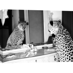 Wall art print and canvas. Emma Rian, Cheetah looking in mirror