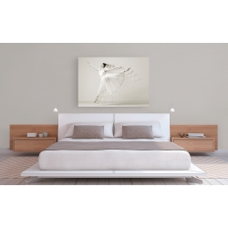 Wall art print and canvas. Haute Photo Collection, Leaping Beauty