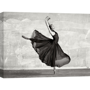 Cuadro en canvas, fotografía. Haute Photo Collection, Ballerina Dancing