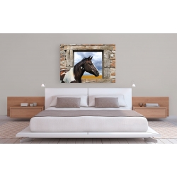 Wall art print and canvas. Julian Lauren, Painted Horse