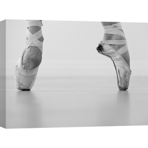 Wall art print and canvas. A female ballet dancer
