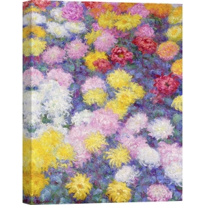 Tableau sur toile. Claude Monet, Chrysanthèmes