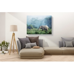 Wall art print and canvas. Krahmer, African elephant, Ngorongoro Crater, Tanzania