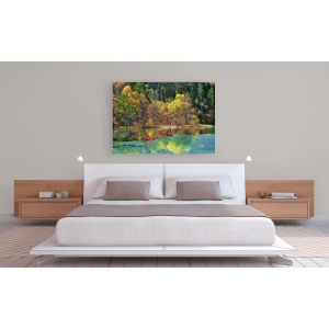 Wall art print and canvas. Krahmer, Forest in autumn colours, Sichuan, China