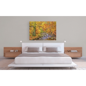 Wall art print and canvas. Krahmer, Beech forest in autumn, Ilse Valley, Germany