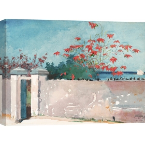 Quadro, stampa su tela. Winslow Homer, A Wall, Nassau