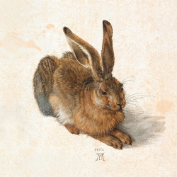 Wall art print, canvas and poster by Albrecht Durer, Young Hare
