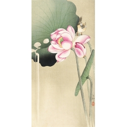 Cuadro japonés, poster y lienzo, Ohara Koson, Pájaro cantor y flor de loto