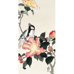 Stampa giapponese. Ohara Koson, Cinciallegra su un ramo di fiori rosa