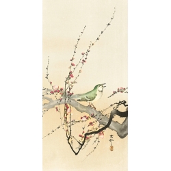 Tableau toile, affiche, poster Koson, Oiseau chanteur sur prunier