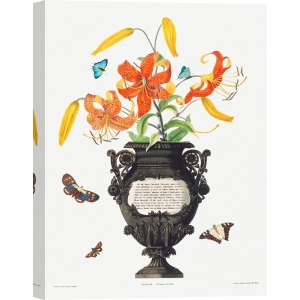 Tableau toile, poster, affiche Edward Bury, Vase de lys avec papillons
