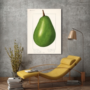 Kunstdruck, Leinwandbilder, Poster Amanda Almira Newton, Avocado
