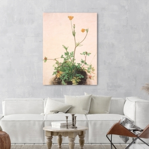 Art print, canvas by Durer,Butter Cups, Red clover and Plantain