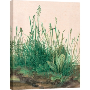 Wall art print, canvas and poster by Durer, The Great Piece of Turf