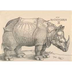Cuadro, poster y lienzo, Albrecht Durer, Rinoceronte